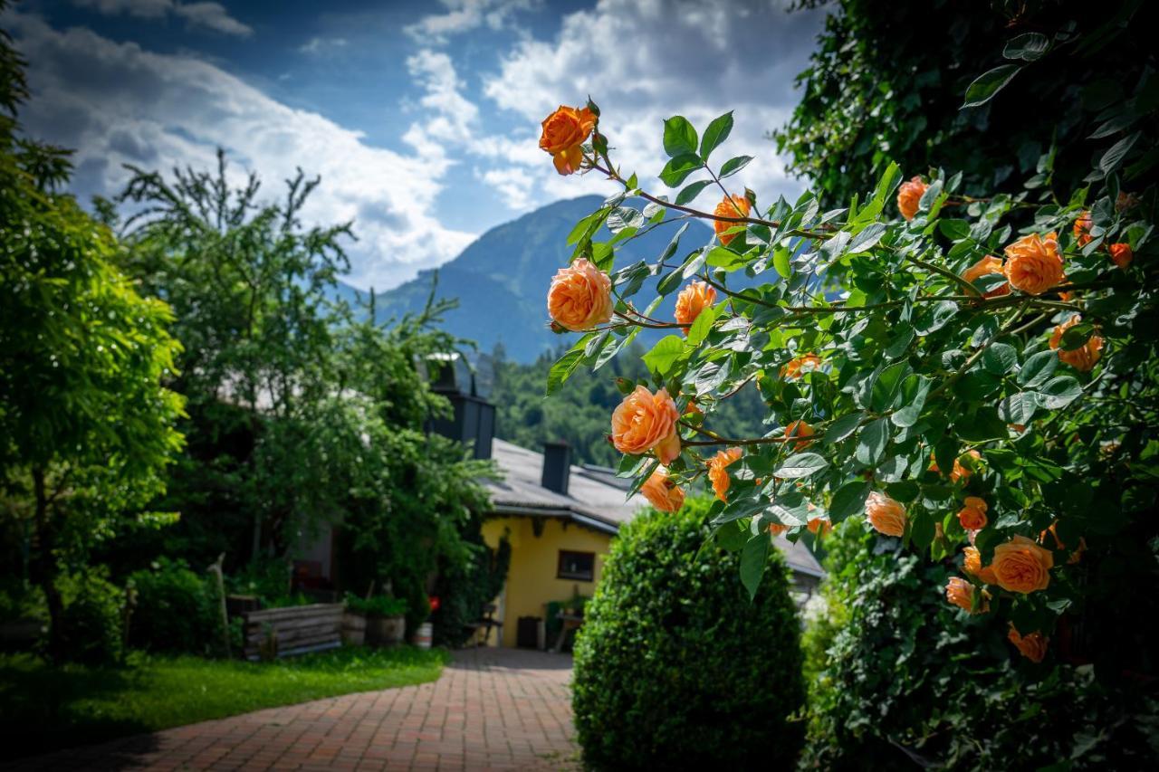 Sportpension Goldegg Exterior photo